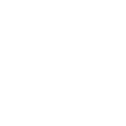 Icon 4 wordpress plugin